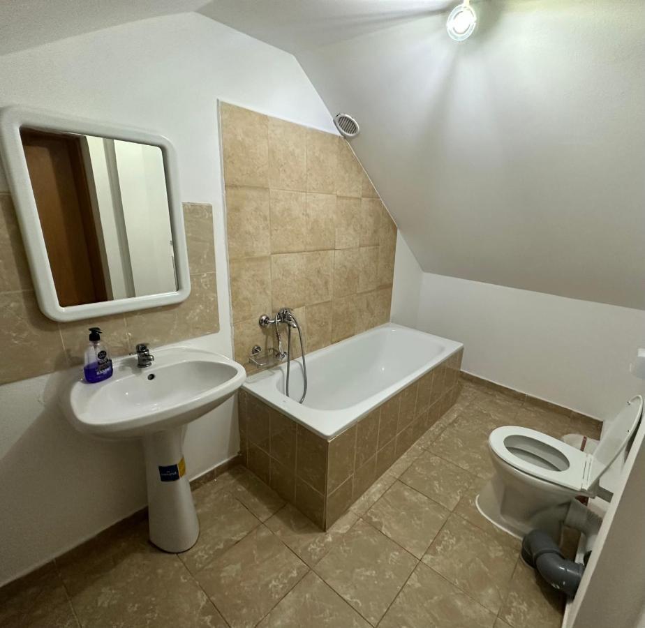 Georgiana Apartments 2 蒂米什瓦拉 外观 照片