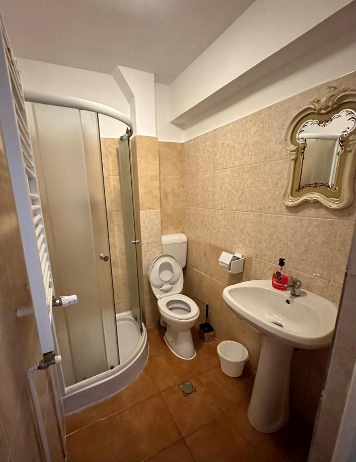 Georgiana Apartments 2 蒂米什瓦拉 外观 照片