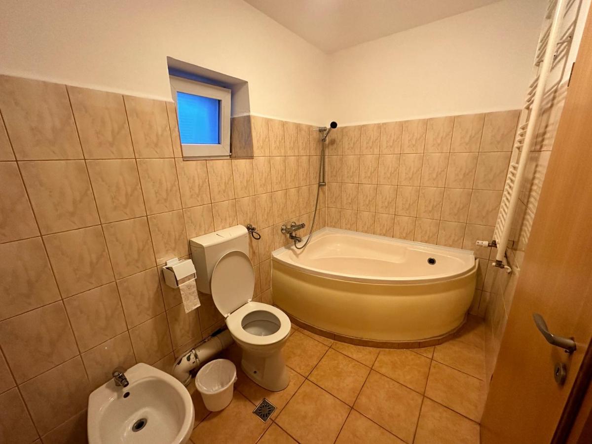 Georgiana Apartments 2 蒂米什瓦拉 外观 照片