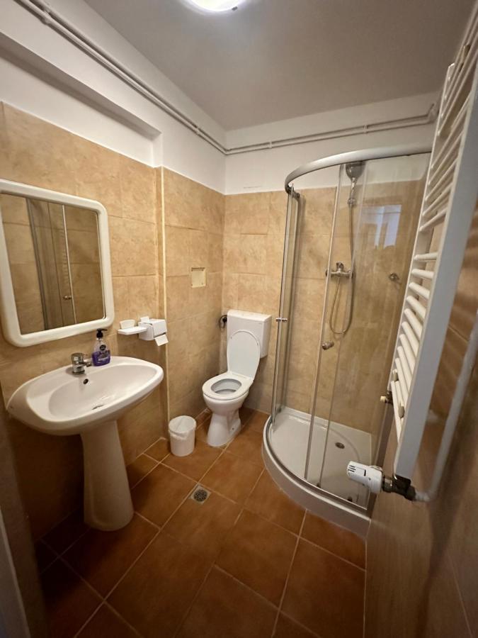 Georgiana Apartments 2 蒂米什瓦拉 外观 照片