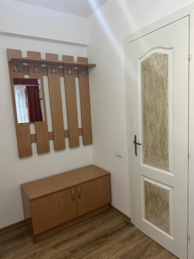 Georgiana Apartments 2 蒂米什瓦拉 外观 照片