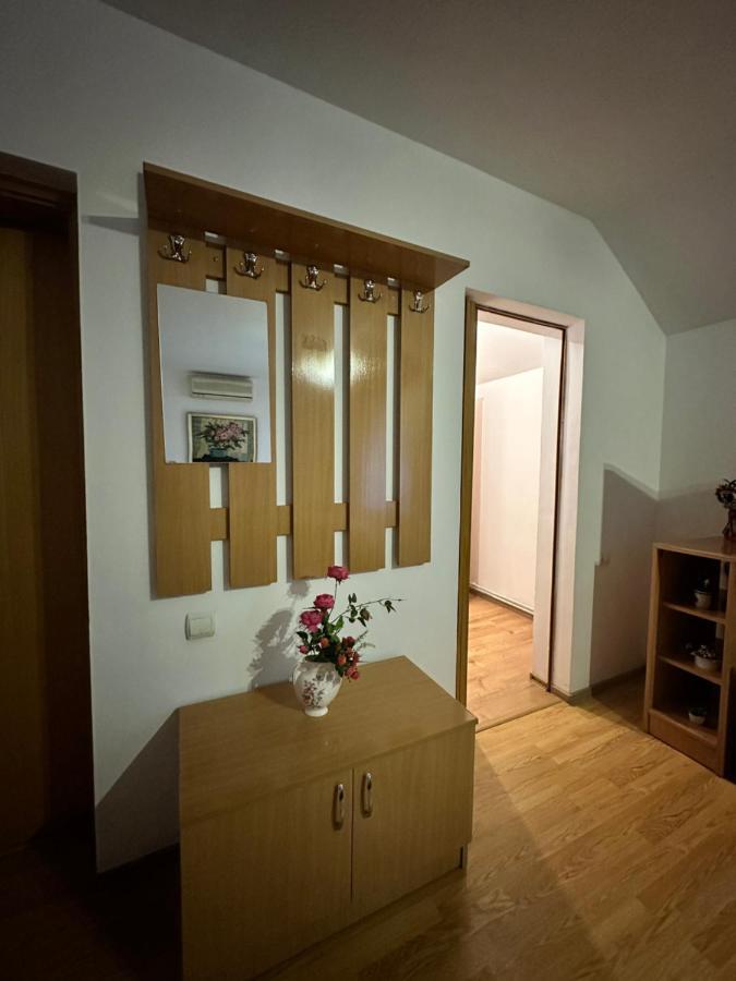 Georgiana Apartments 2 蒂米什瓦拉 外观 照片