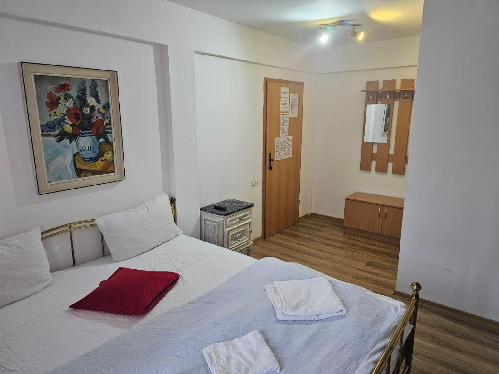 Georgiana Apartments 2 蒂米什瓦拉 外观 照片